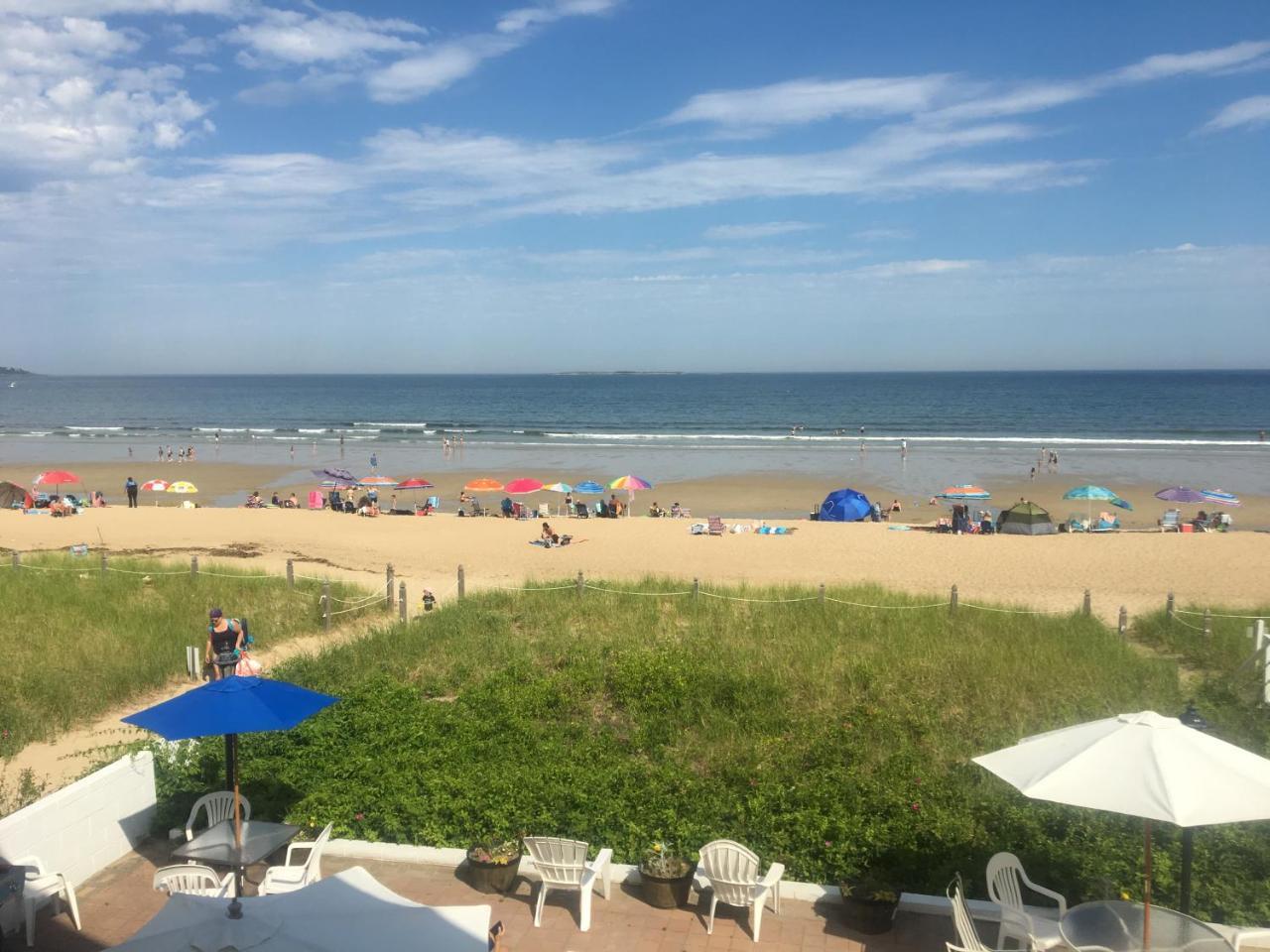 Sandpiper Beachfront Motel 旧奥查德比奇 外观 照片